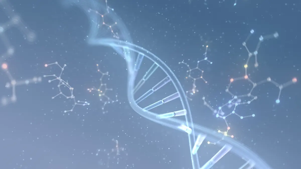 DNA-Doppelhelix