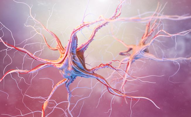 Foto: Tatiana Shepeleva_stock.adobe.com