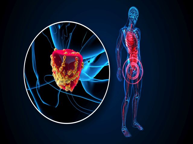 4K abstrakte 3D-Illustration der Prostata