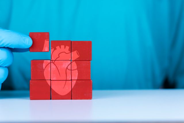 Konzept der Herztransplantation und Herzerkrankungen, Kardiomyopathie, Arrhythmie. Die Hand des Arztes ordnet die Holzwürfel.