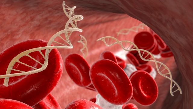 3D-Illustration von Erythrozyten und DNA-Strängen in der Blutbahn als Symbolbild für zirkulierende Tumor-DNA (ctDNA)