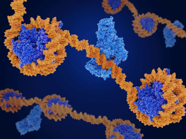 Epigenetisch wirkende Medikamente
