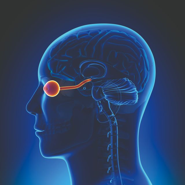 Kopf mit Auge