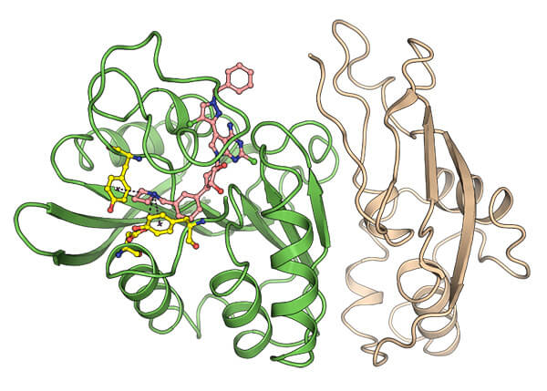 Hemmstoff KMI169
