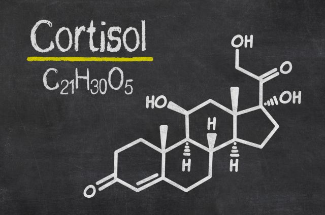 Chemische Formel von Kortisol.