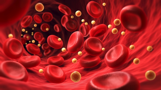 Schematische Darstellung von roten Blutkörperchen und Lipidpartikeln in einem Blutgefäß, symbolisiert die Bedeutung von LDL-Cholesterinsenkung und Lipidmanagement.