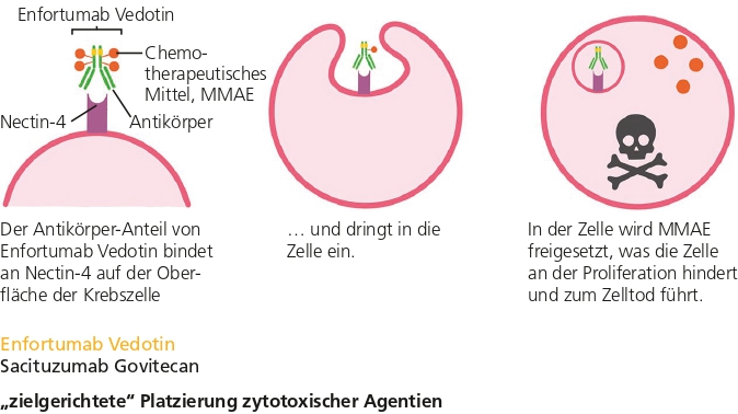 Abb. 2