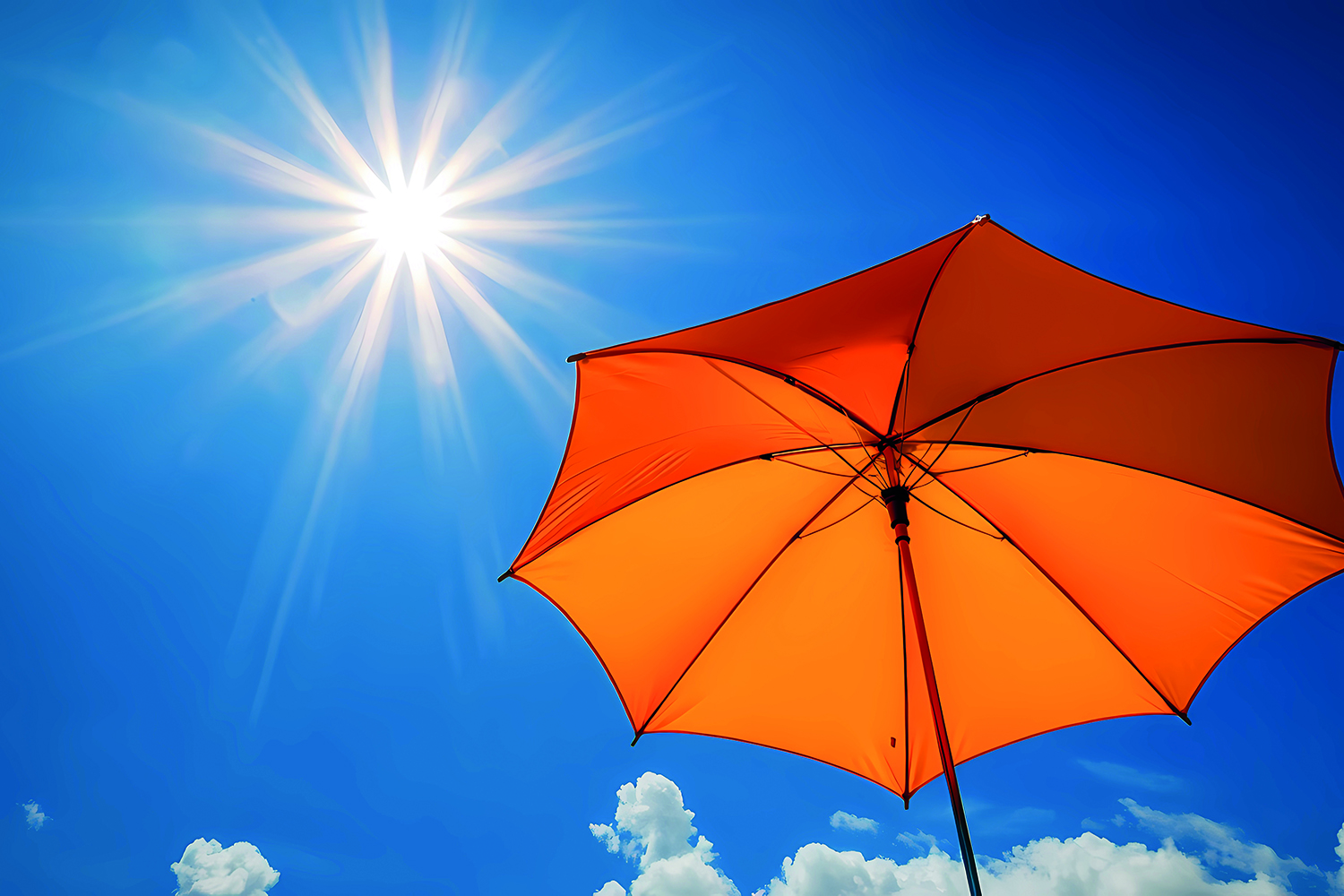 Sonnenschirm