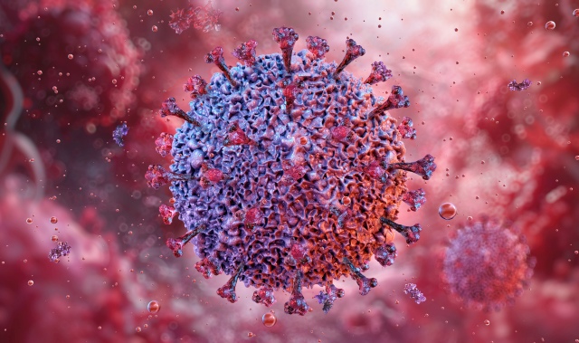 Darstellung des Epstein-Barr-Virus, das B-Zellen mobilisiert und mit Multipler Sklerose und Lymphomen in Verbindung steht.