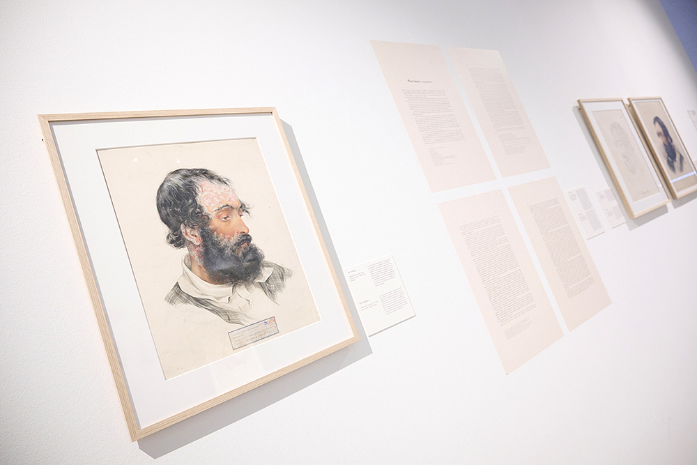 Gerahmte Zeichnung in einer Kunstgalerie mit begleitenden Texttafeln an der Wand.