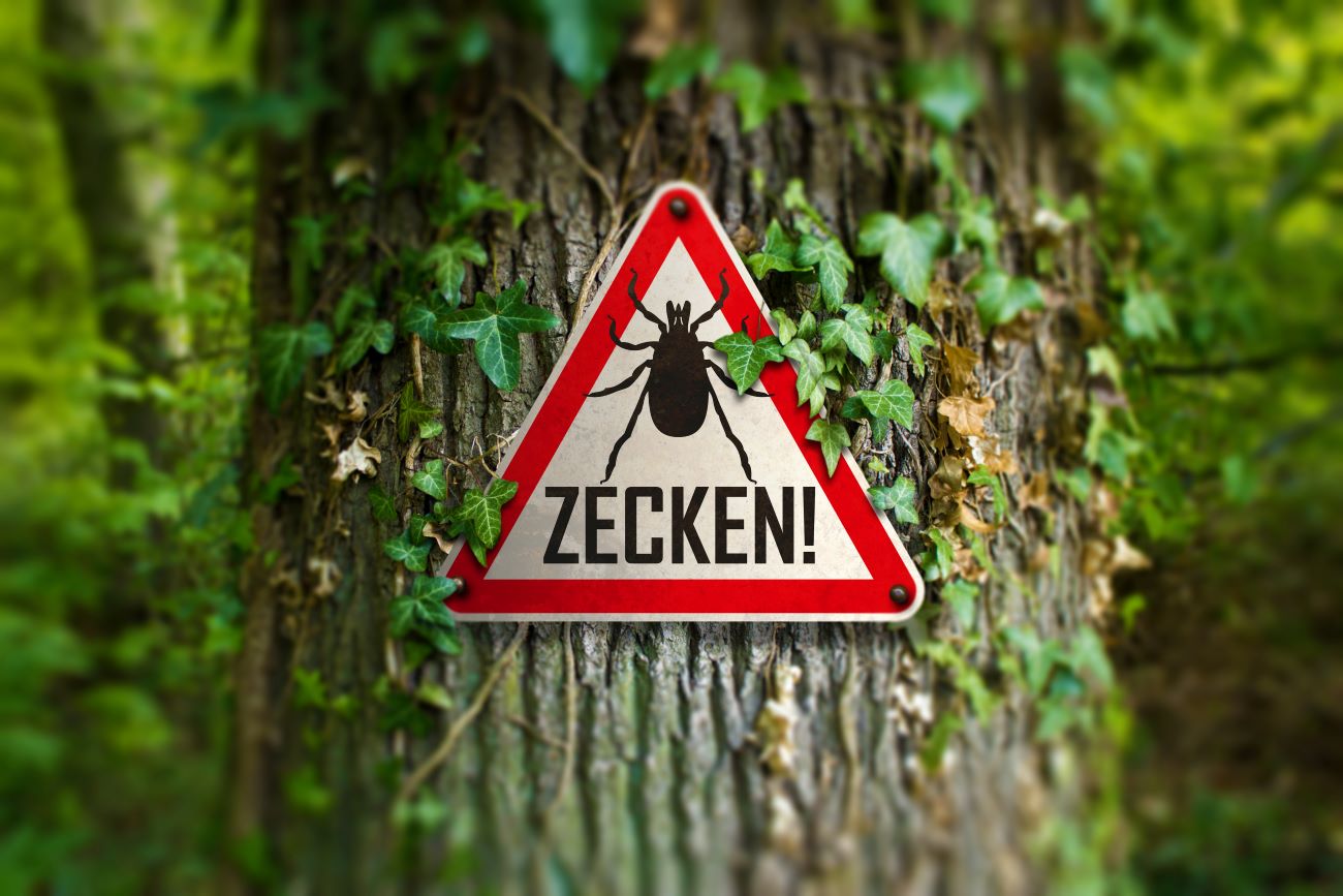 © Eric - stock.adobe.com