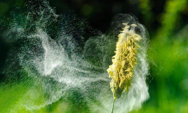 © Jürgen Kottmann – stock.adobe.com