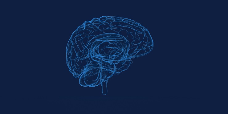 Illustration eines Gehirns auf blauem Hintergrund