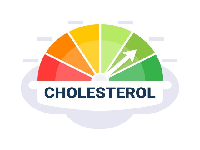 Grafische Darstellung eines Cholesterin-Messwerts mit farbiger Skala und Pfeil.
