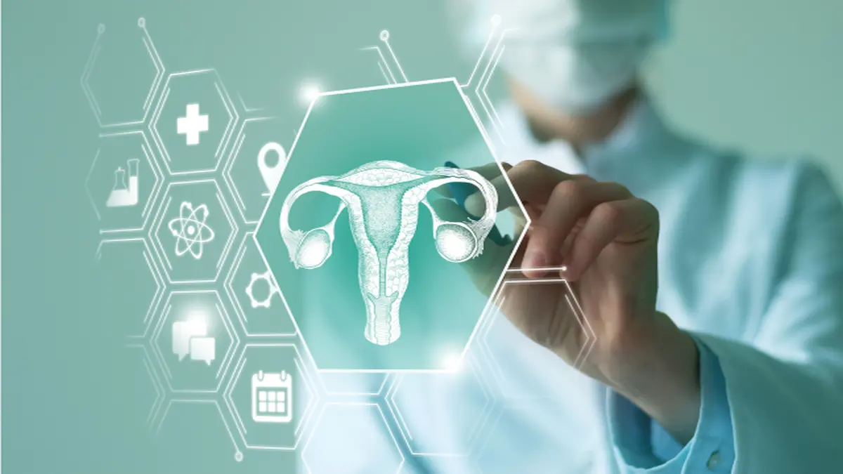 Digitale Illustration der Gebärmutter: Fortschrittliche Visualisierung in der Frauenheilkunde.