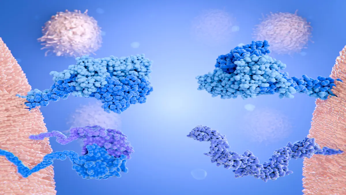 3D-Illustration von Proteinstrukturen, die an Zellmembranen interagieren, vor einem blauen Hintergrund.