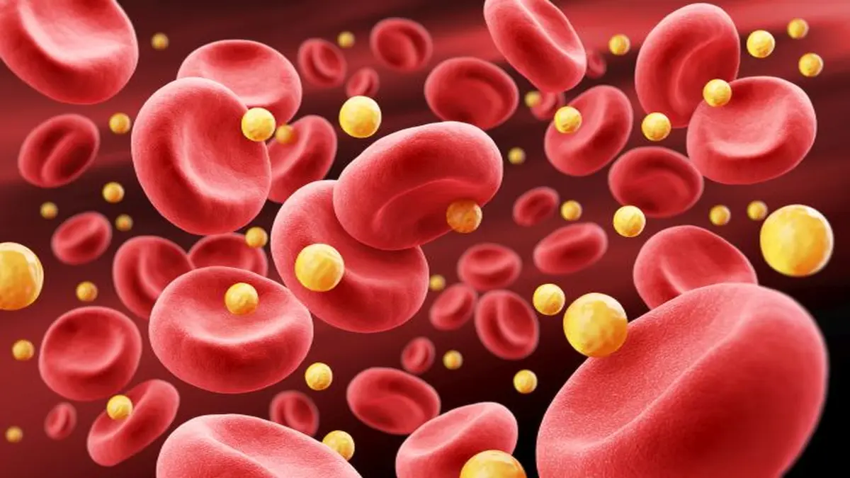 Darstellung von roten Blutkörperchen und Cholesterinpartikeln im Blutkreislauf