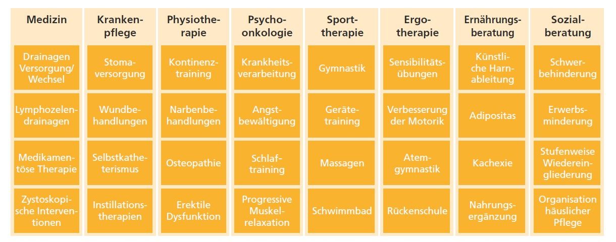 Abb. 2: Interdisziplinäre Module der uro-onkologischen Anschlussheilbehandlung: Die spezialisierte AHB nach minimal-invasiven Eingriffen integriert medizinische, pflegerische, therapeutische und psychosoziale Maßnahmen. Ziel ist eine ganzheitliche Rehabilitation, die funktionelle, psychische und soziale Aspekte gleichermaßen berücksichtigt und individuell auf die Bedürfnisse der Patienten abgestimmt ist.