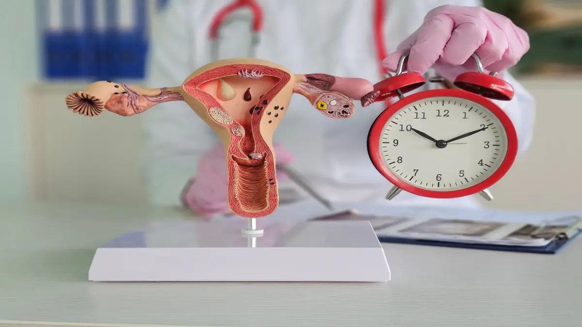 Modell des weiblichen Fortpflanzungstrakts und rote Uhr in einer Hand eines Arztes mit rosa Handschuhen