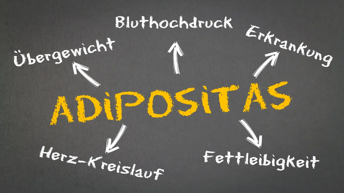 Grafik zu Adipositas mit Ursachen wie Übergewicht, Bluthochdruck und Herz-Kreislauf-Erkrankungen