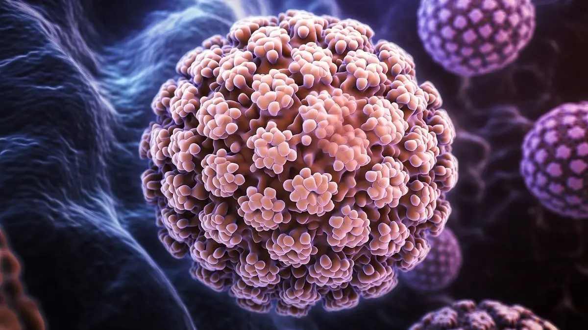 3D-Darstellung von HPV-Viruspartikeln mit strukturierter Oberfläche.