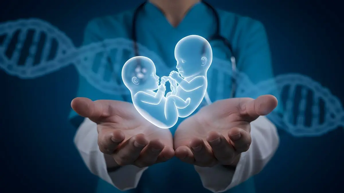 Arzt hält Zwillingshologramm, Symbol dass Mehrlingsgeburten nach in-vitro-Fertilisation sinken.