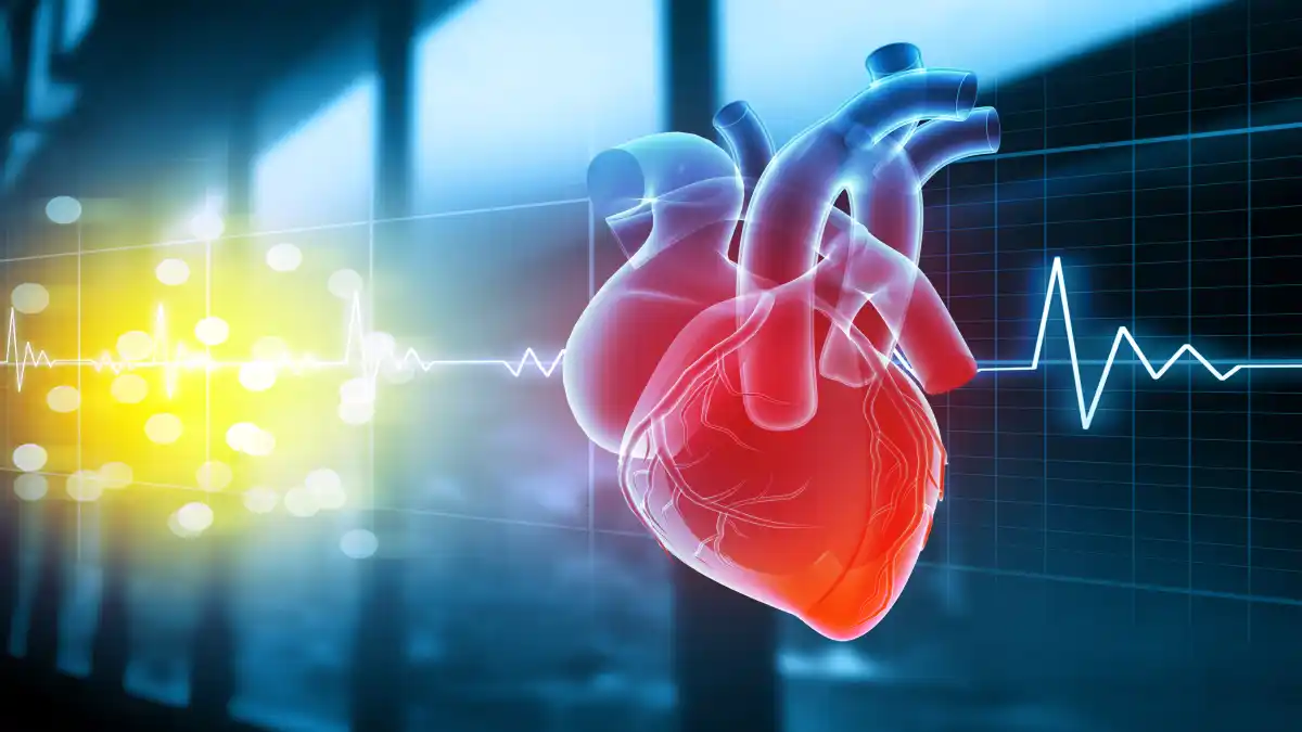 3D-Illustration eines Herzens mit EKG im Hintergrund.