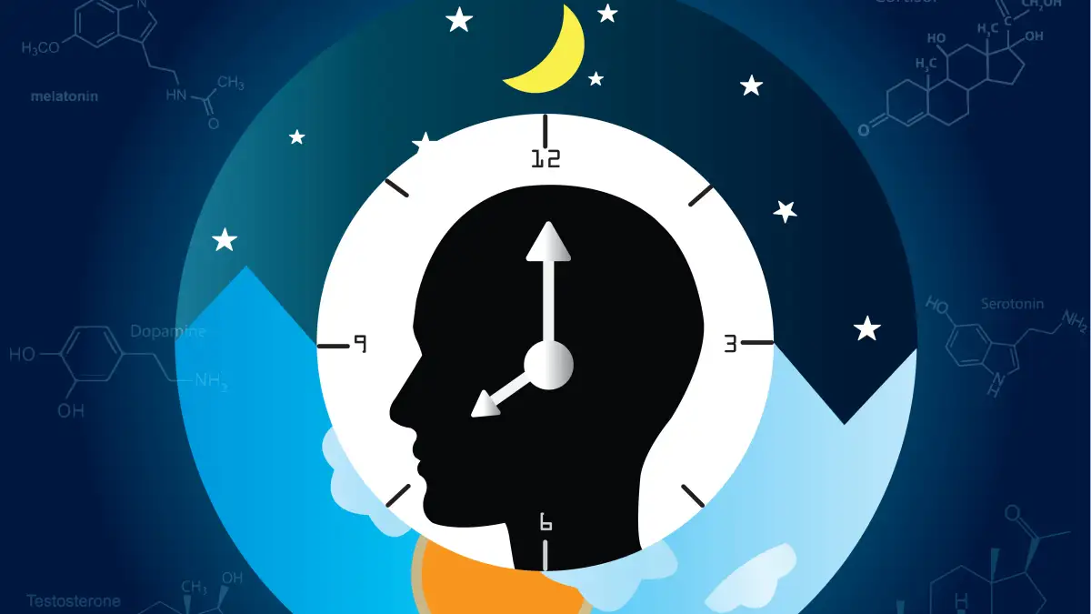 Eine Grafik mit einer Uhr vor einem Nacht- und Taghintergrund und einem menschlichen Kopf.