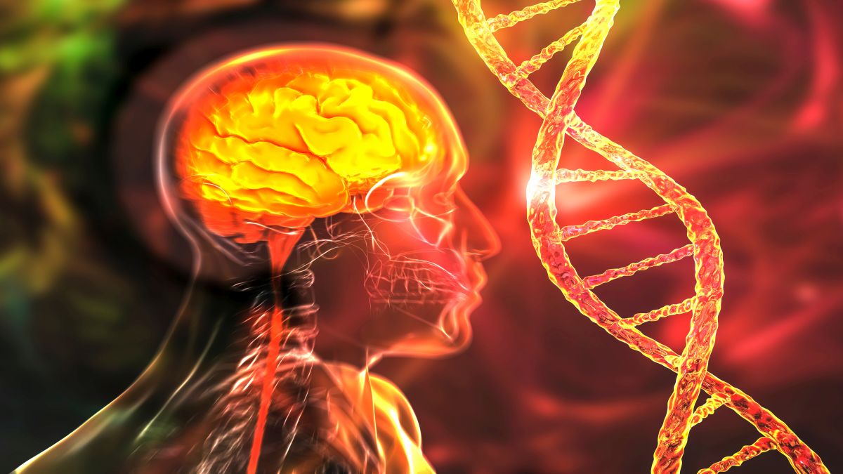genetische Grundlagen psychischer Erkrankungen