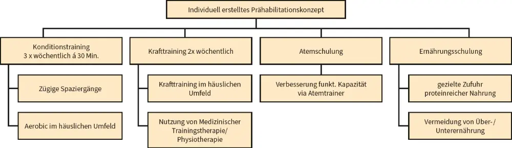 Abb. 1: Therapiekonzept der Prähabilitation vor radikaler Zystektomie (adaptiert nach [17])