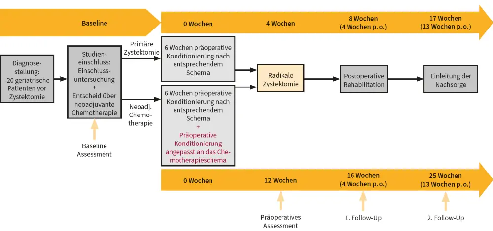 Abb. 2: Studienkonzept PREHAB-Feasibility (adaptiert nach [17])