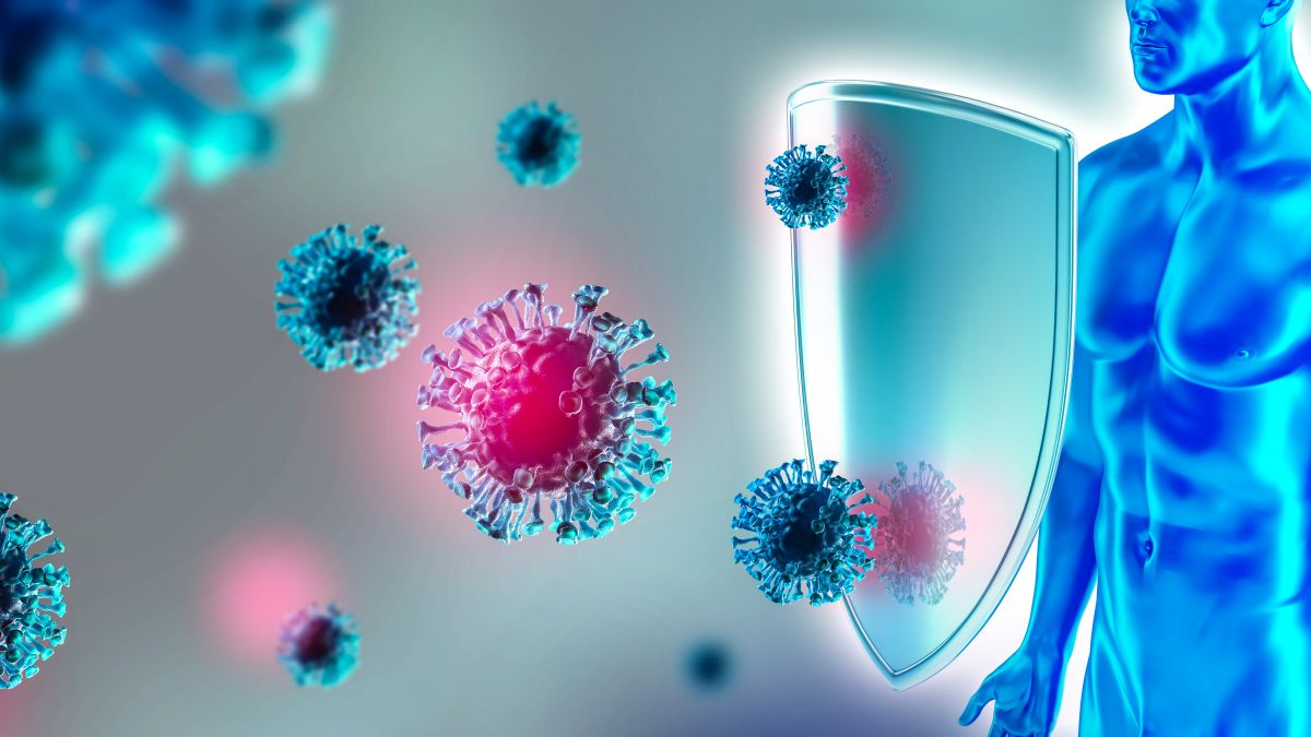 Symbolbild: Das Immunsystem schützt den menschlichen Körper vor Viren und senkt das Krebsrisiko
