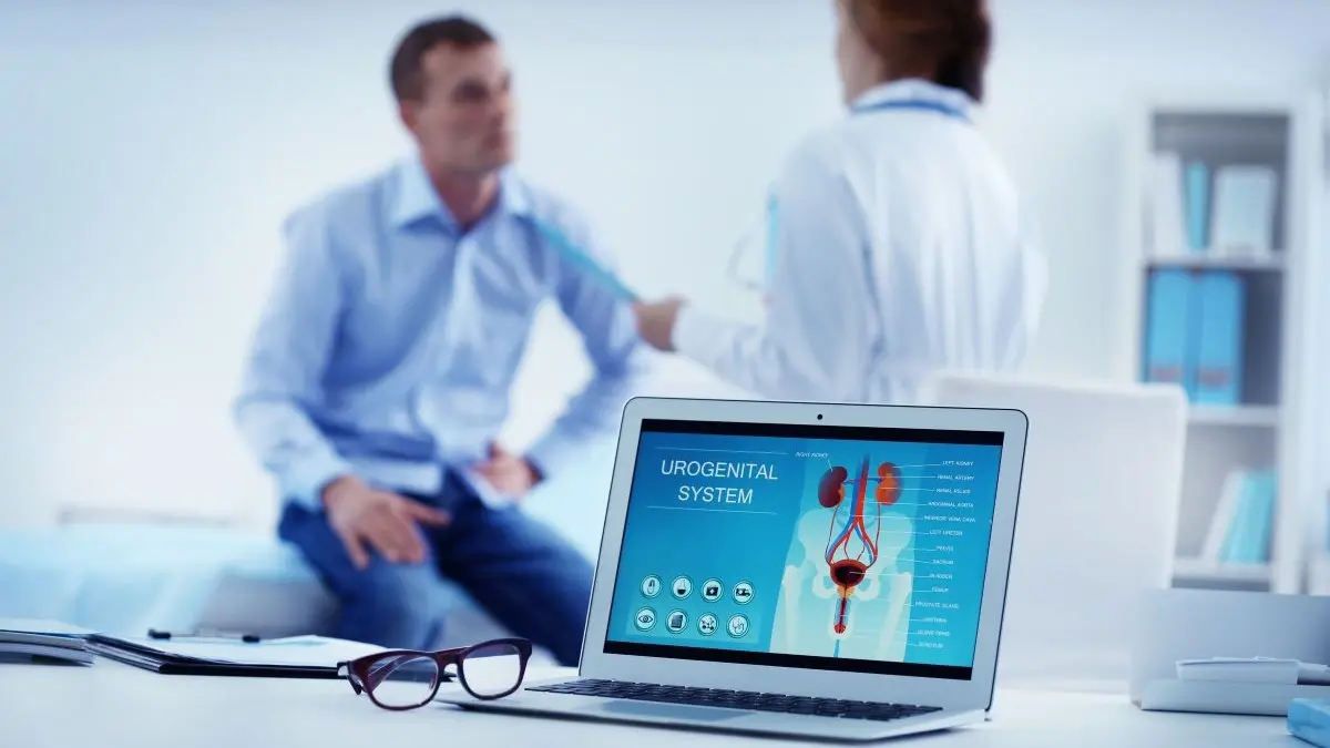 Medizinische Beratung mit einem Laptop, der das Urogenitalsystem zeigt, im Vordergrund.