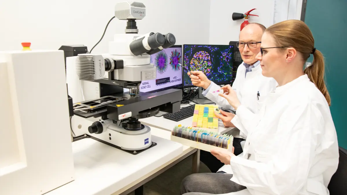 Forschende analysieren Zuckerstrukturen auf Nierenzellen mit einem High-Tech-Mikroskop zur Vorhersage der Wirksamkeit von Immuntherapien bei Nierenkrebs