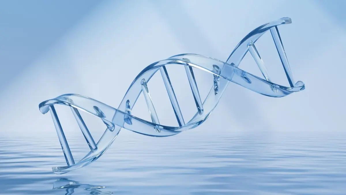 Glaeserne DNA-Doppelhelix ueber Wasseroberflaeche als Symbol fuer Biologika und Biosimilars in Apotheken