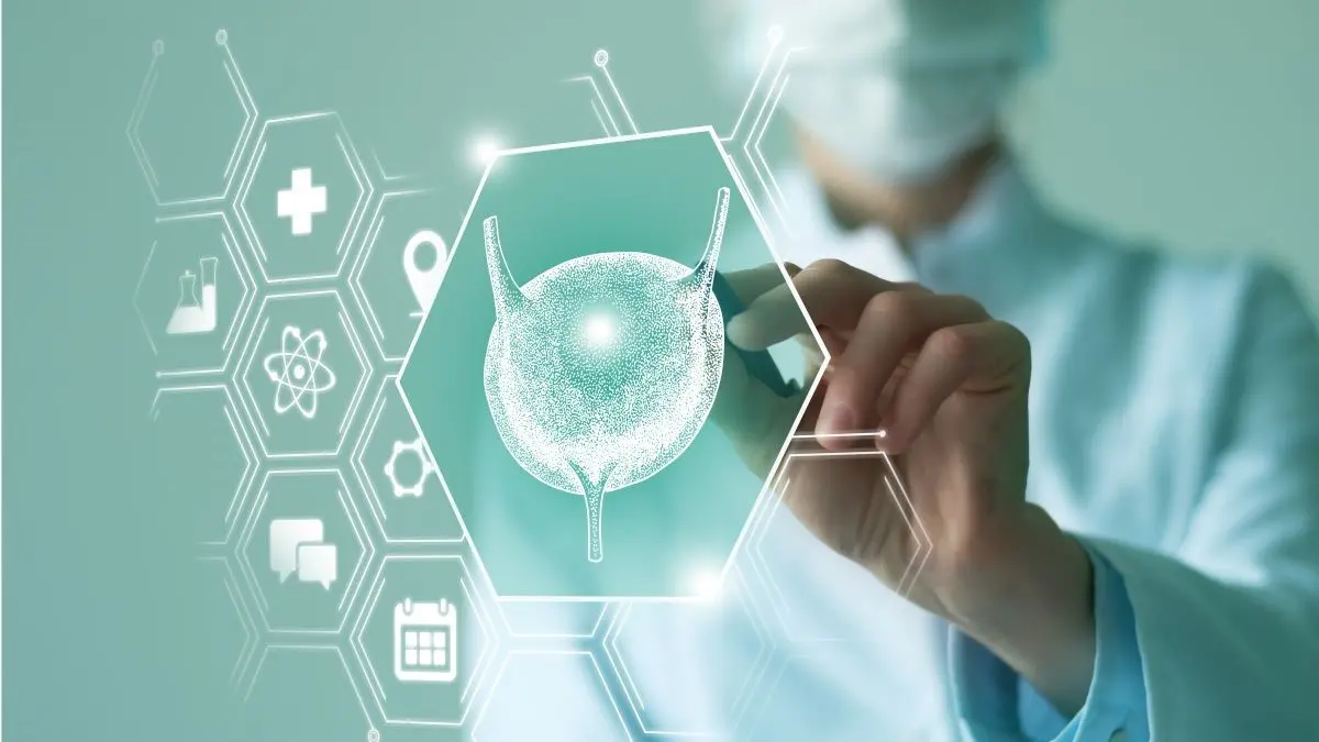 Digitale medizinische Darstellung einer Blase – Urologie und Blasengesundheit
