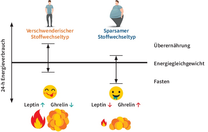 Definition von sparsamen und verschwenderischen Stoffwechseltypen