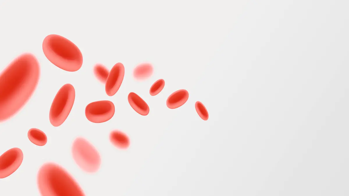 3D-Illustration roter Blutkörperchen (Erythrozyten) – Symbolbild für Onkologie und Hämatologie