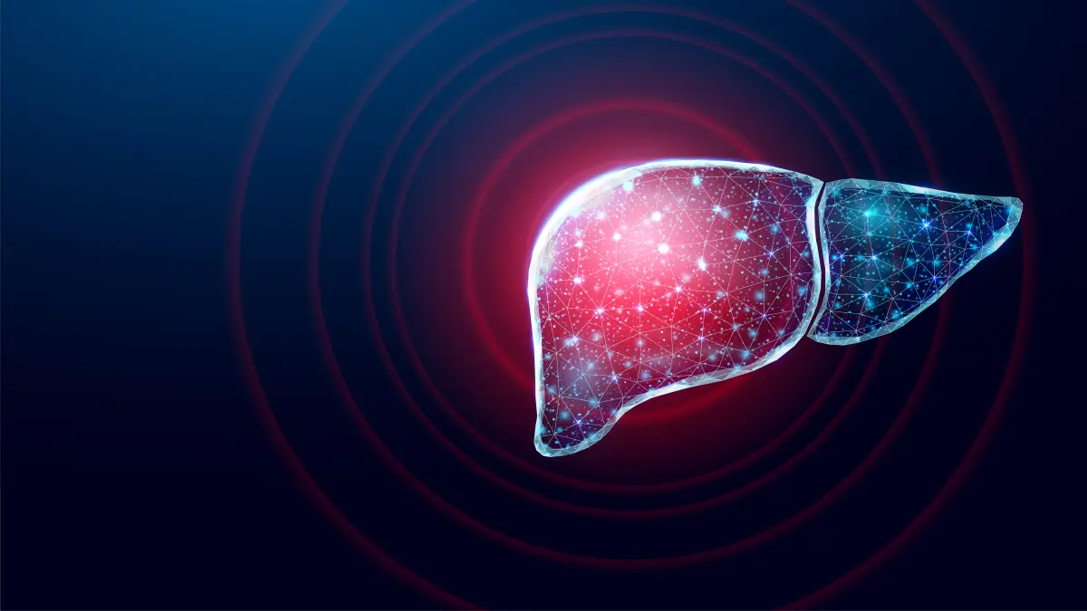 3D-Illustration einer Leber mit Zellnetzwerk und roten Signalen – Symbolbild für Leberkrebs, chronischen Zellstress und innovative Immuntherapie