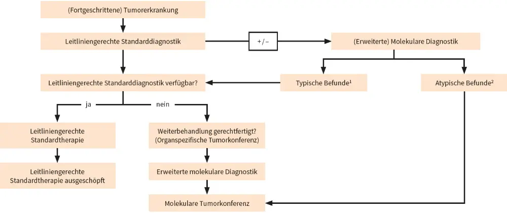 Abb. 2: Algorithmus zur Integration erweiterter molekularer Diagnostik in den klinischen Entscheidungs- und Behandlungsablauf. Zunehmend kommt der molekularen Diagnostik bereits ein Stellenwert in der leitliniengerechten Standarddiagnostik zu, teilweise bereits in der Erstlinienbehandlung. Bei typischem molekularen Befund kann zunächst eine Standardtherapie – sofern verfügbar – eingeleitet werden. Ist diese ausgeschöpft, dann entscheidet zunächst eine organbezogene Tumorkonferenz über das weitere Vorgehen. Atypische molekulare Befunde bedürfen frühzeitig der Beurteilung durch eine molekulare Tumorkonferenz; modif. nach [1].
