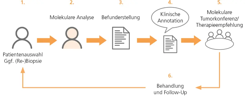 Abb. 1: Konkrete Arbeitsschritte, die für eine präzisionsonkologischen Behandlung notwendig sind; modif. nach [1].
