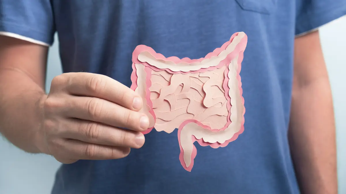 Person hält eine Papier-Illustration des menschlichen Darms vor den Bauch – Symbolbild für Darmkrebs und geschlechtersensible Medizin