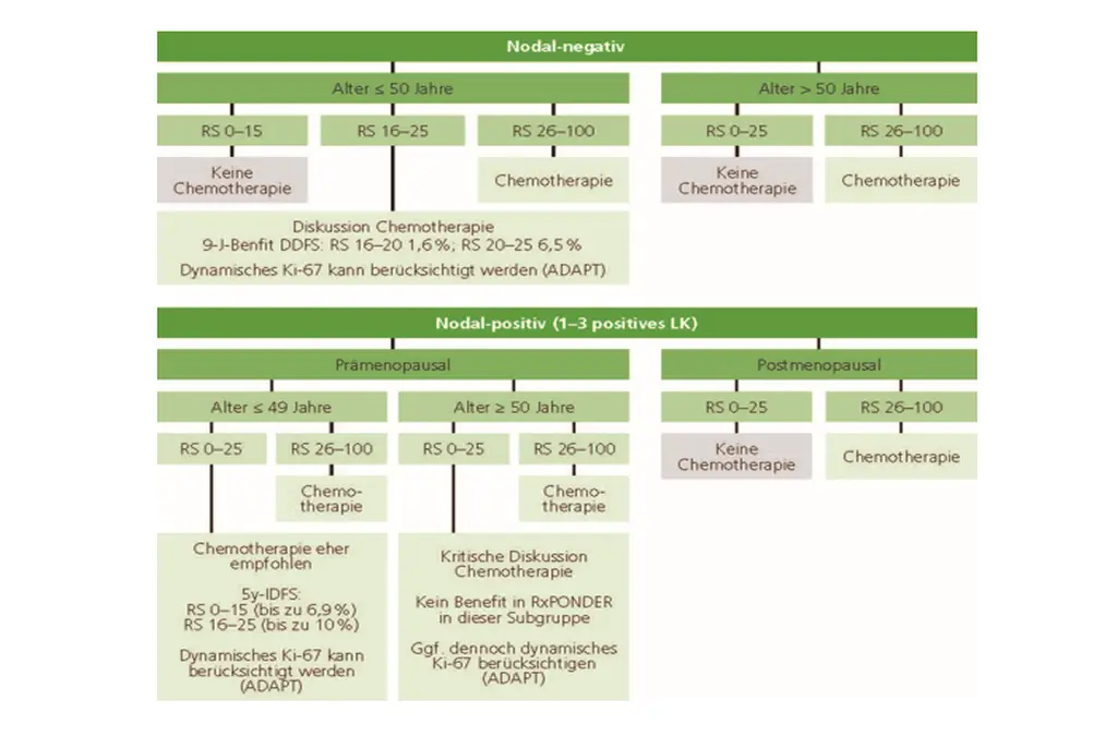 Therapiealgorithmus beim frühen HR+/HER2-negativen Mammakarzinom: Chemotherapie-Entscheidung nach Nodal-Status, Alter, Menopausalstatus und Oncotype-DX-Recurrence-Score (RS 0–100)