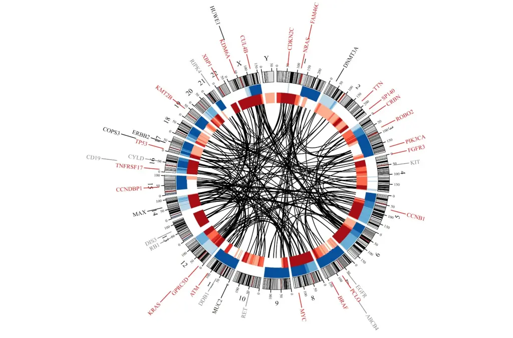 Zirkuläres Genomdiagramm (Circos-Plot) mit chromosomalen Mutationen und Genfusionen beim Multiplen Myelom – Ergebnis der Gesamtgenomsequenzierung