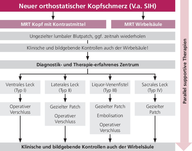 Abb. 2: Therapieoptionen der verschiedenen Lecktypen bei spontaner intrakranieller Hypotension (SIH).