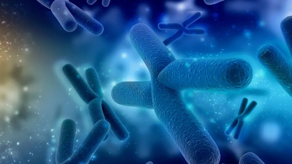 Chromosomen-Illustration als Symbol fuer genetische Diagnostik und nicht invasiven Praenataltest