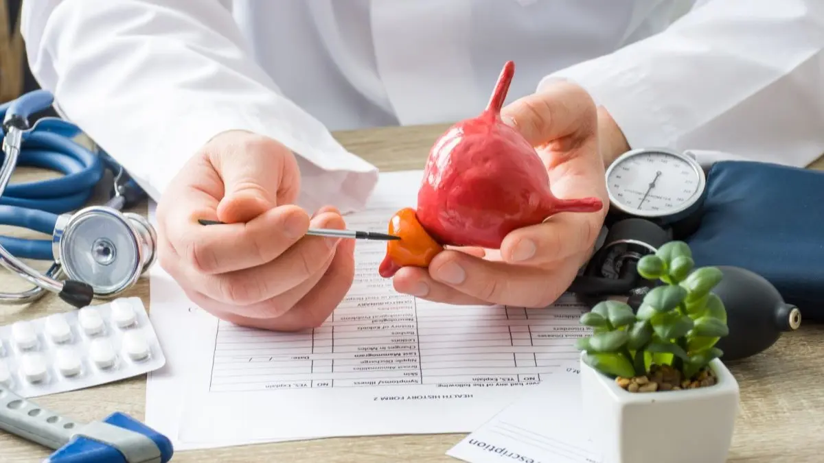 Arzt zeigt auf anatomisches Prostata-Modell – Erklaerung zu Prostatakarzinom und Metastasen