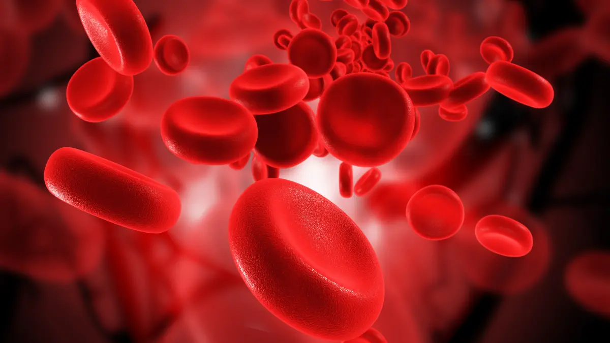 Rote Blutzellen
