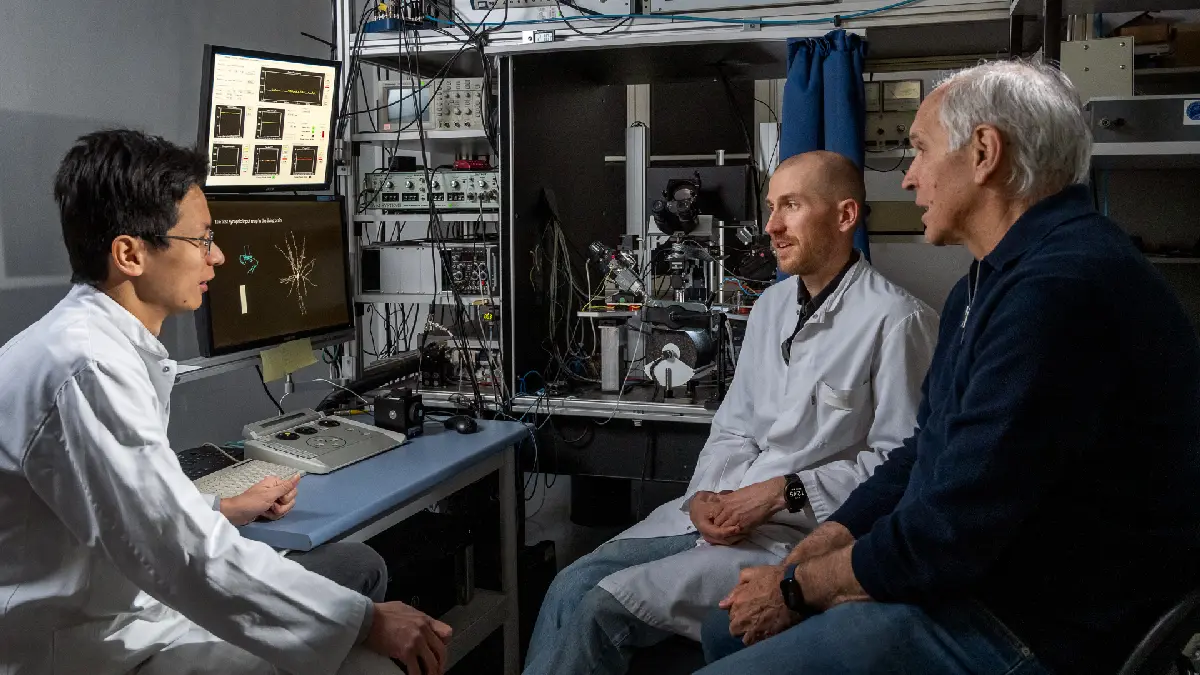 Das Forschungsteam um Prof. Arthur Konnerth (re.), Dr. Yang Chen (li.) und Doktorand Marinus Kloos vom Institut für Neurowissenschaften an der TUM School of Medicine. © Astrid Eckert, Muenchen