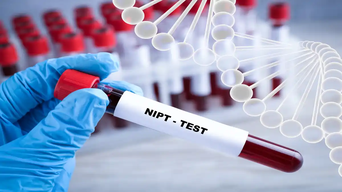 Auf einem mit einem Handschuh gehaltenen Blutröhrchen steht Noninvasive prenatal testing (NIPT), daneben ist eine DNA-Struktur zu sehen.